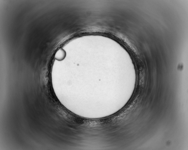 X0000103931213200810101345