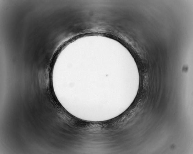 X0000103931214200810101345