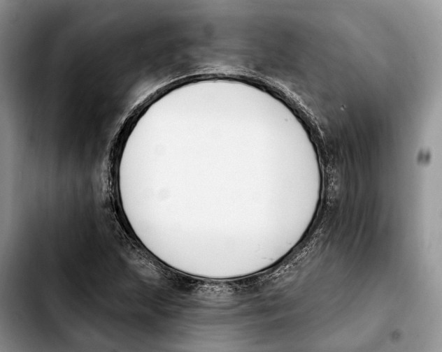 X0000103931215200810101345