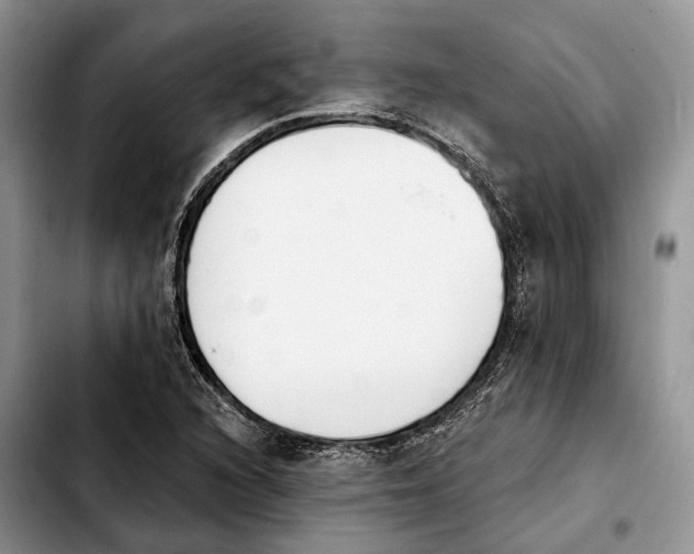 X0000103931216200810101345