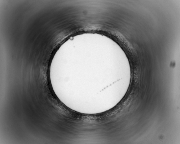 X0000103931217200810101346