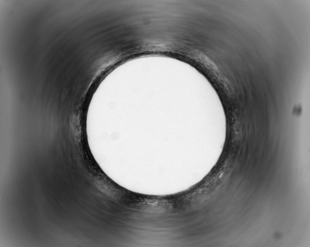 X0000103931218200810101346