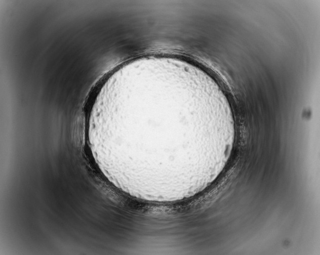 X0000103931219200810101346