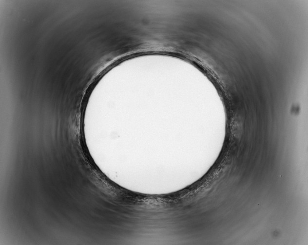 X0000103931220200810101346