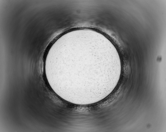 X0000103931221200810101346