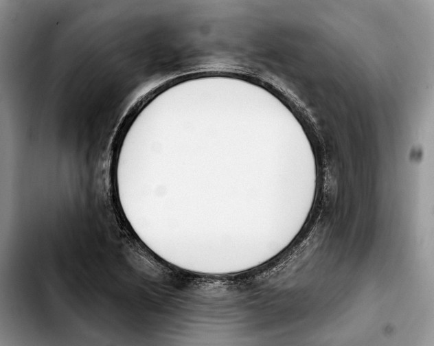 X0000103931222200810101346