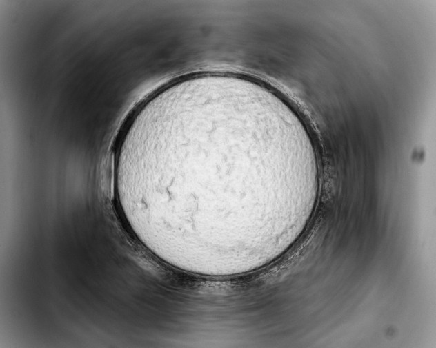 X0000103931223200810101346