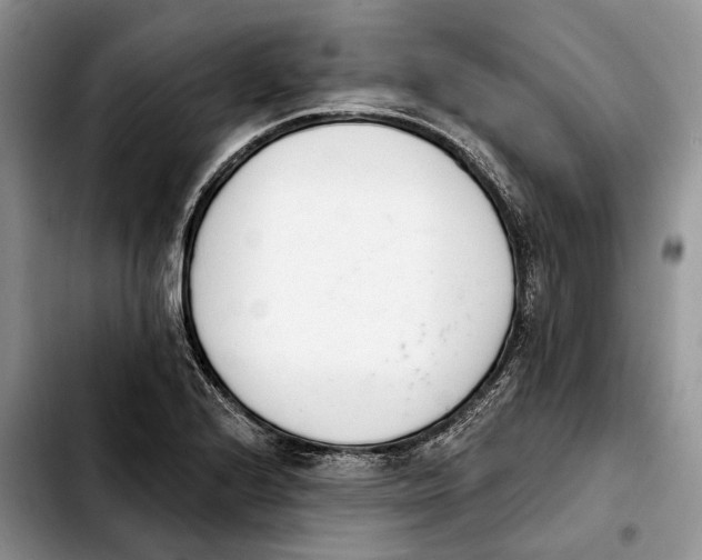 X0000103931224200810101346