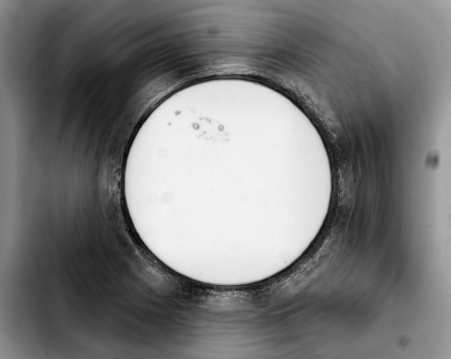 X0000103931225200810101346