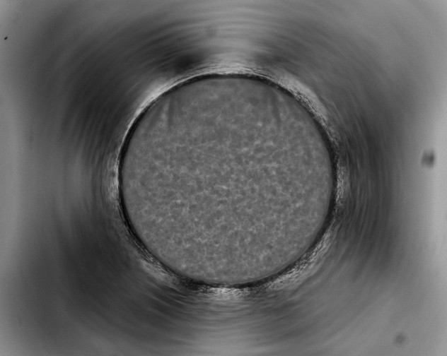 X0000103931226200810101346