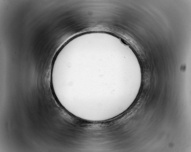 X0000103931228200810101346