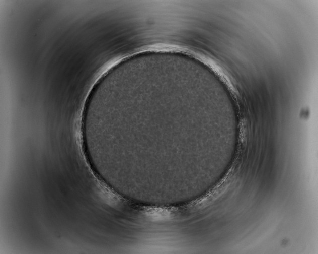 X0000103931229200810101346