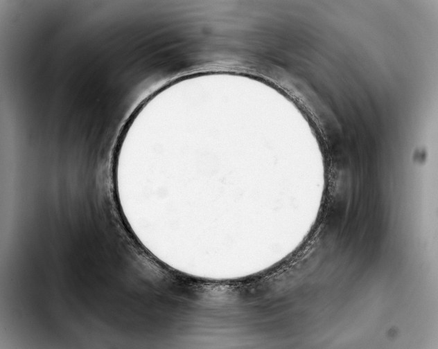 X0000103931230200810101346