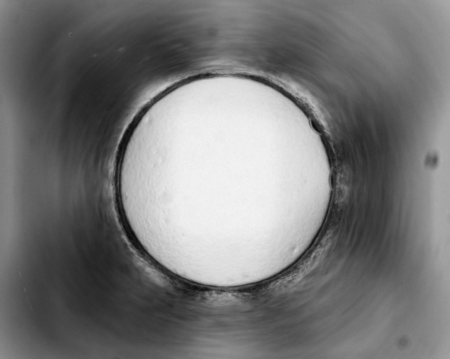 X0000103931231200810101346