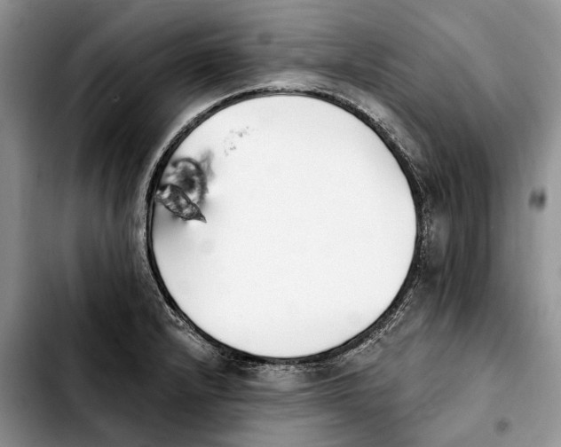 X0000103931232200810101346