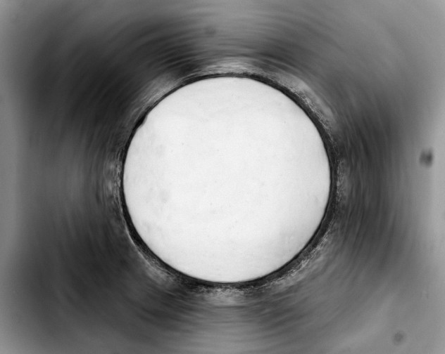 X0000103931233200810101346