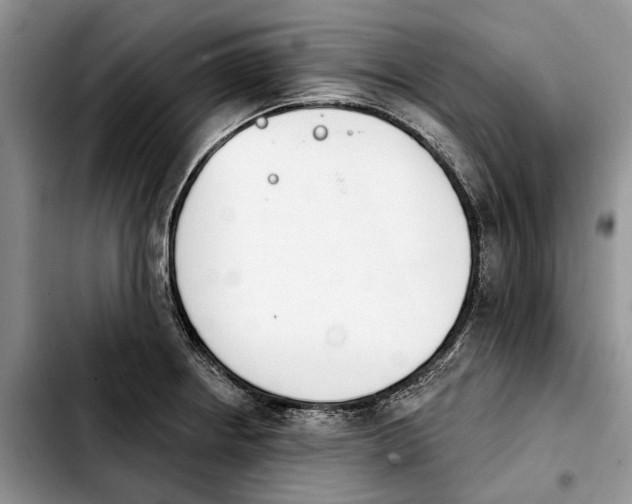 X0000103931234200810101346