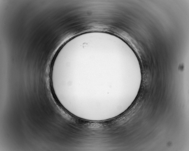 X0000103931235200810101346