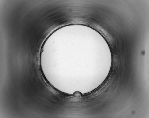 X0000103931236200810101346