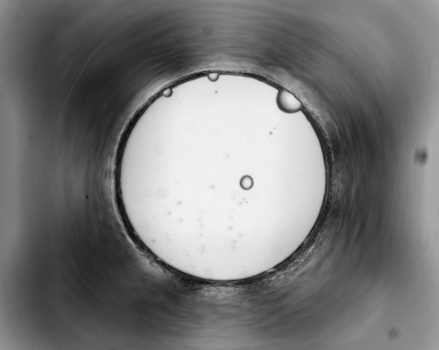 X0000103931237200810101346