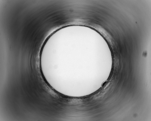 X0000103931238200810101346