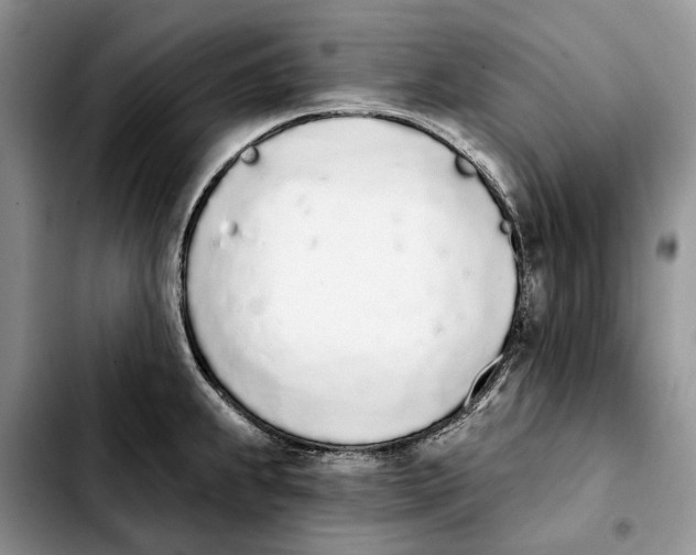 X0000103931239200810101346