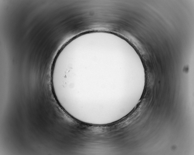 X0000103931240200810101346