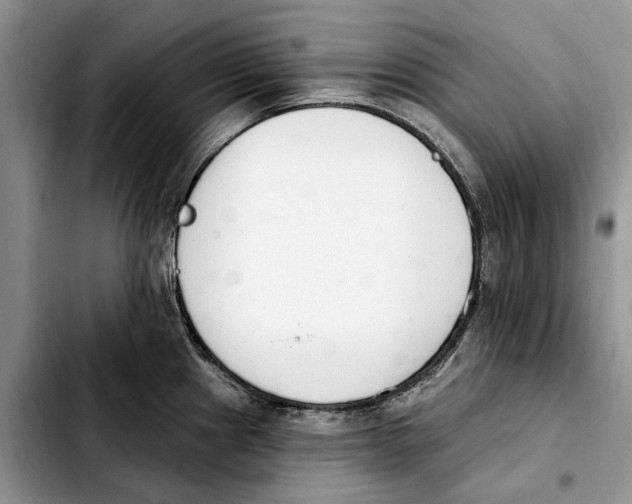 X0000103931241200810101346