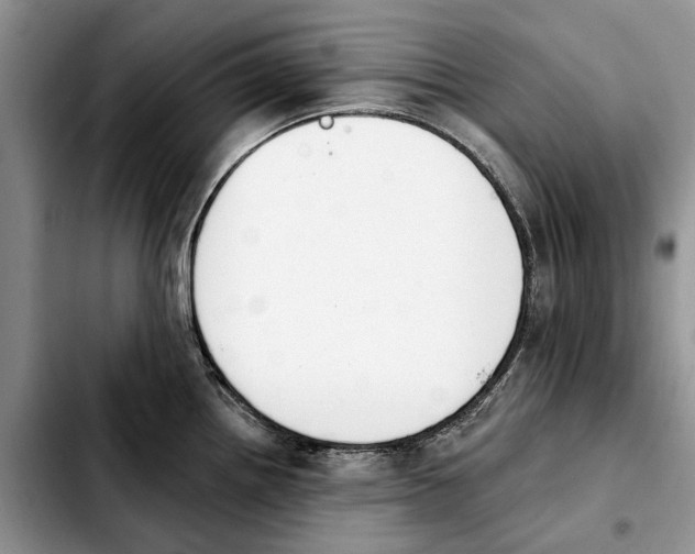 X0000103931242200810101346