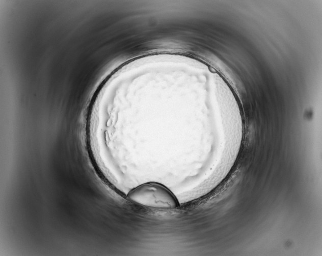 X0000103931243200810101346