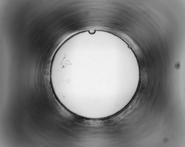 X0000103931244200810101346