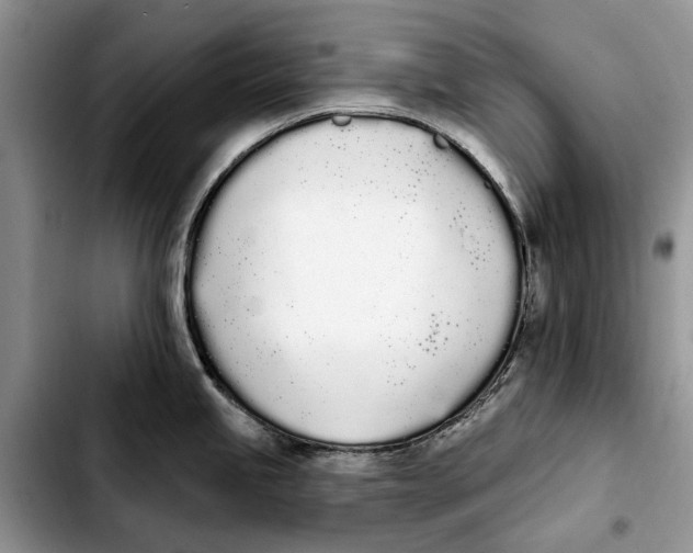 X0000103931245200810101346