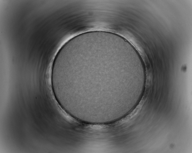 X0000103931246200810101346