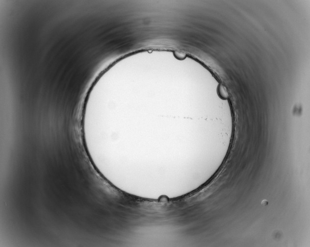 X0000103931248200810101346