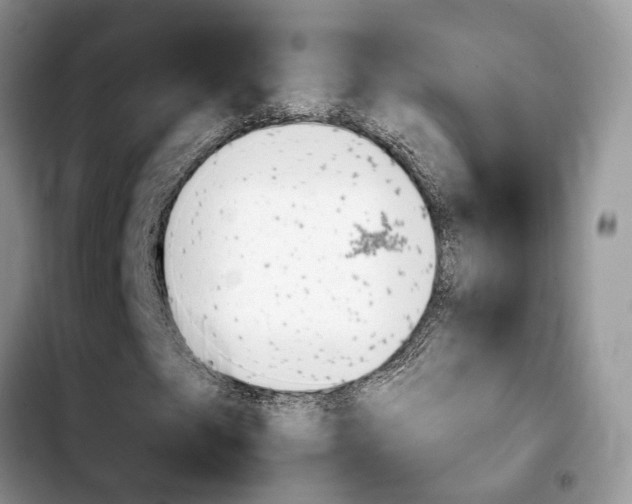 X0000103931249200810101345