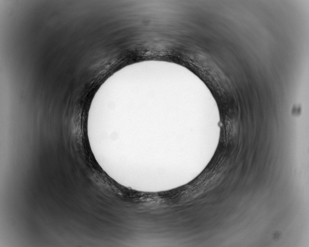 X0000103931250200810101345