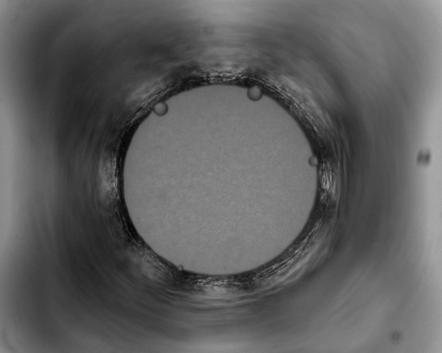 X0000103931252200810101345