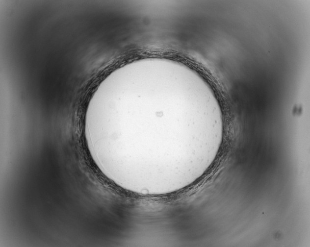 X0000103931253200810101345