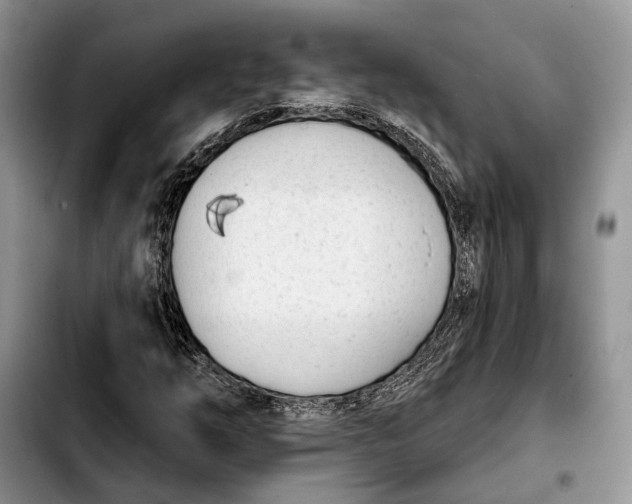 X0000103931254200810101345