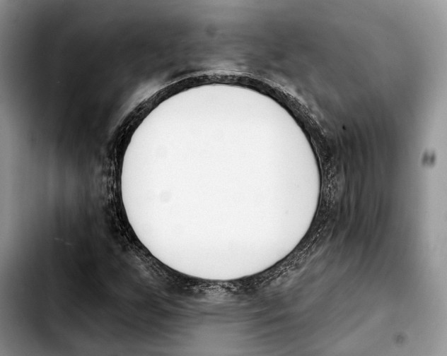 X0000103931255200810101345