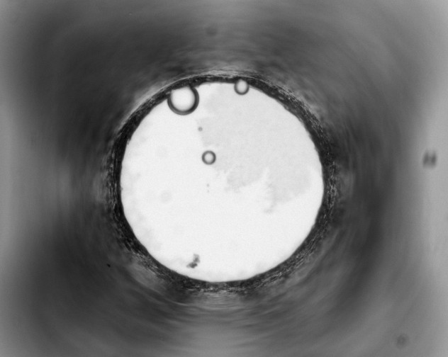 X0000103931256200810101345