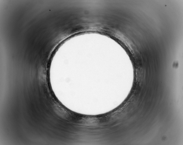 X0000103931260200810101345