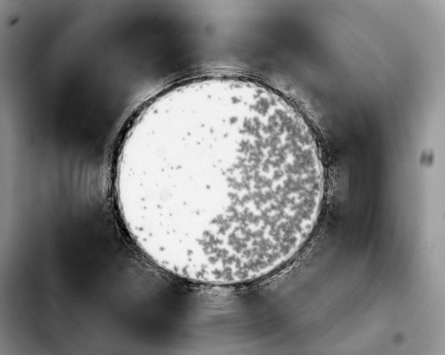 X0000103931261200810101345