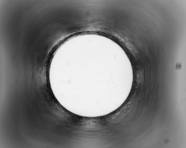 X0000103931262200810101345