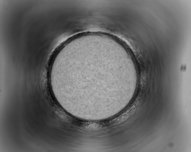 X0000103931263200810101345