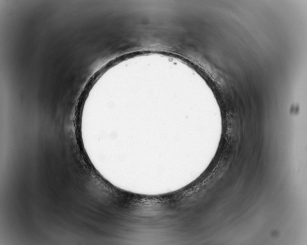 X0000103931264200810101345