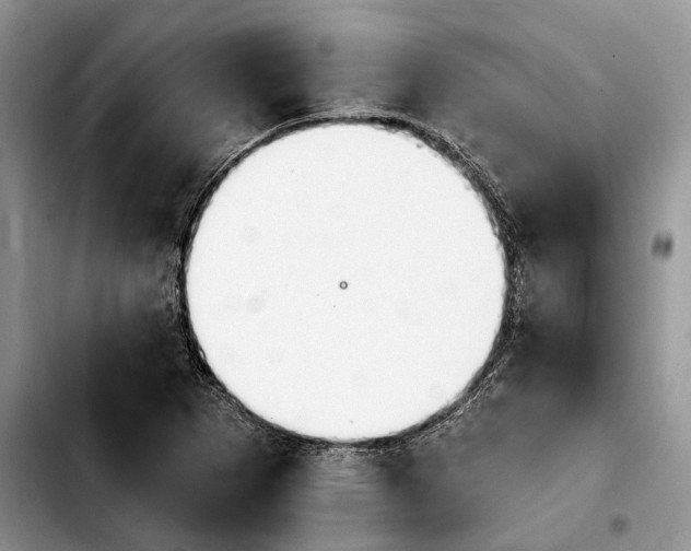 X0000103931265200810101345