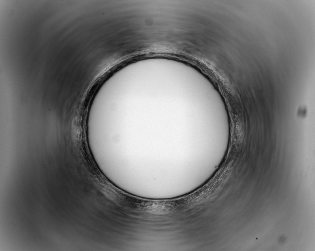 X0000103931266200810101345