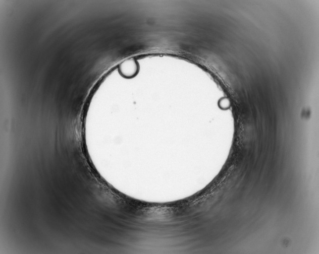 X0000103931268200810101345