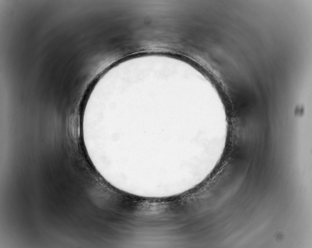 X0000103931269200810101345